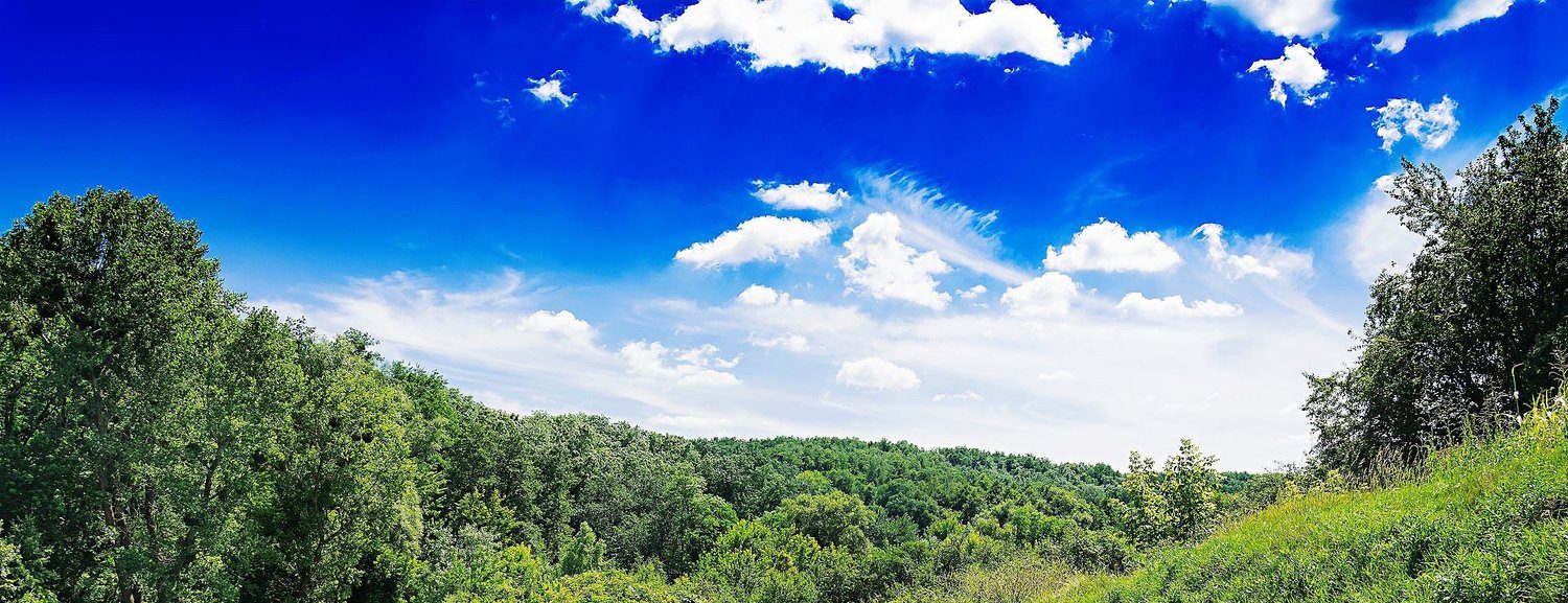 An open summer field under a wide sky